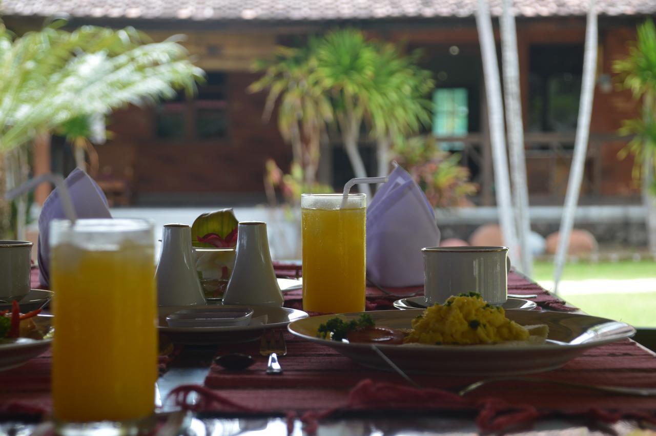 Bagus Beach Resort Lovina 布莱伦 外观 照片