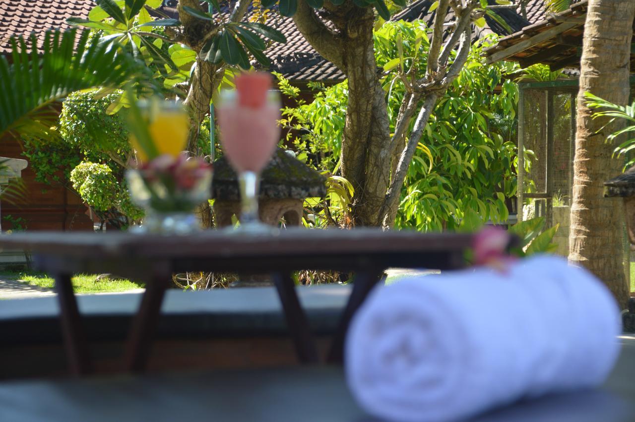 Bagus Beach Resort Lovina 布莱伦 外观 照片