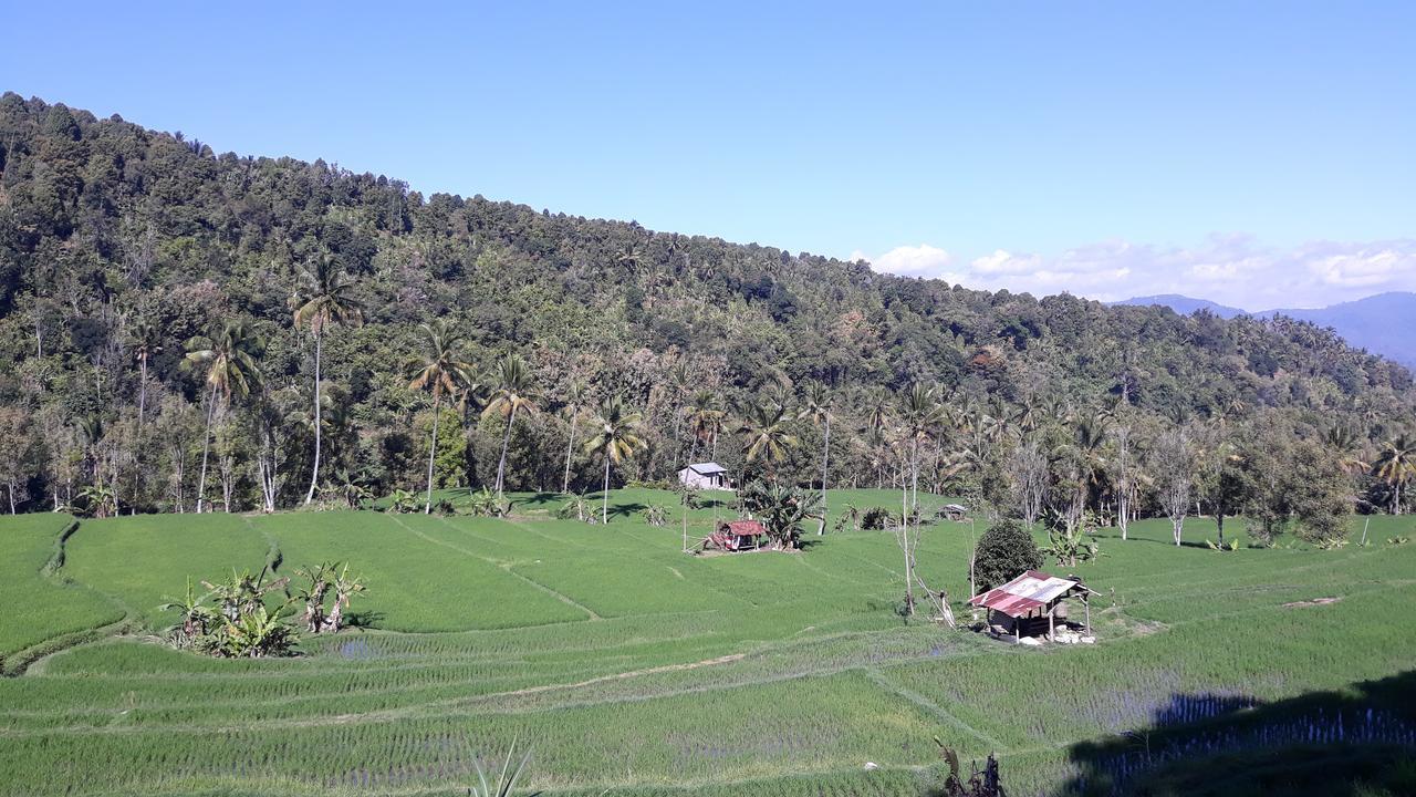 Bagus Beach Resort Lovina 布莱伦 外观 照片