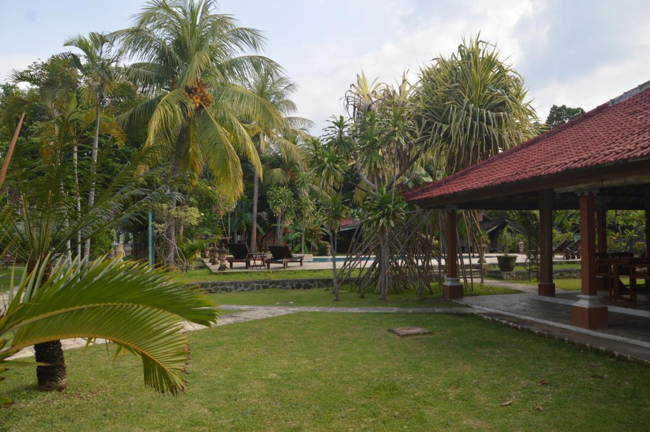 Bagus Beach Resort Lovina 布莱伦 外观 照片